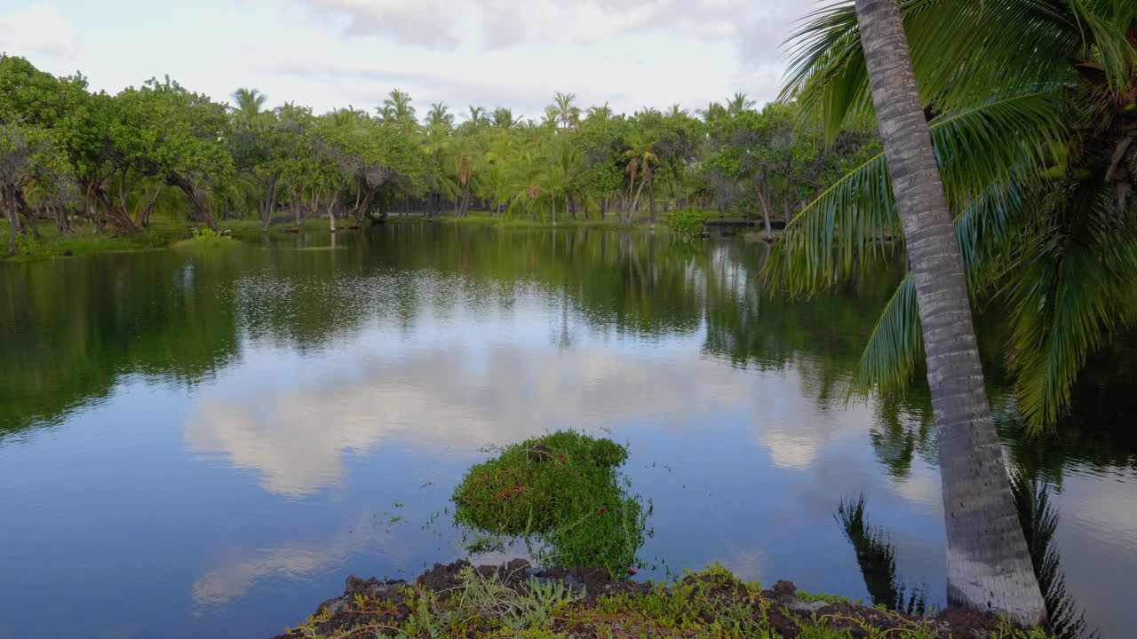 Beautiful Light Ocean View Walk to Auberge Hotel at Mauna Lani Ponds Hawaii Sunset