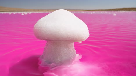 salt formation in a pink lake