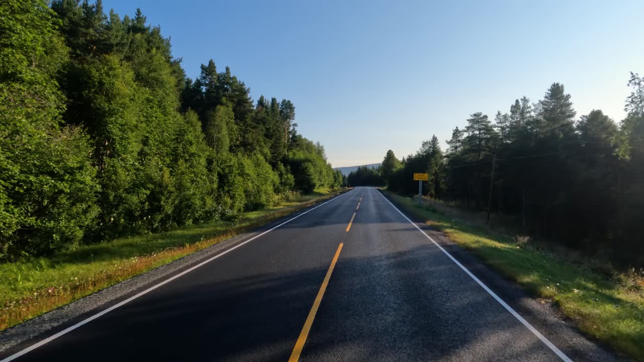 Strada forestale di giorno