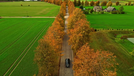 car driving on countryside road lined with colorful autumn trees