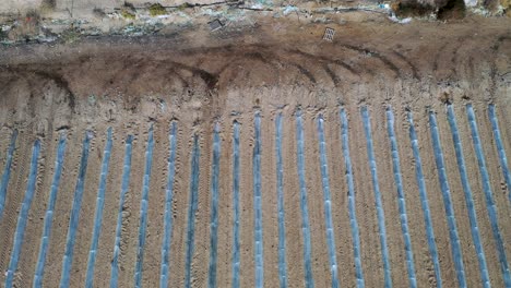 Flying-over-large-plant-field-under-small-protective-plastic-greenhouses,-desert-field,-drone-shot-tilt-down-over-the-field