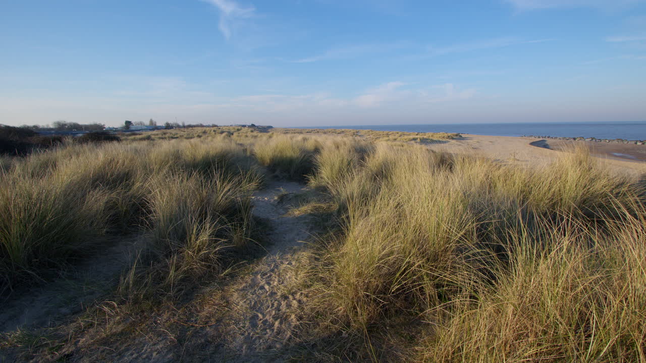 wide shots looking north of the sand dunes and Marram grass at Caister on Sea