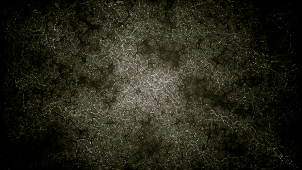 resumen en gris de los antecedentes de la asistencia sanitaria (en bucle)