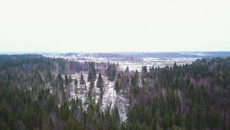 paisaje forestal de invierno con terreno nevado y zona industrial