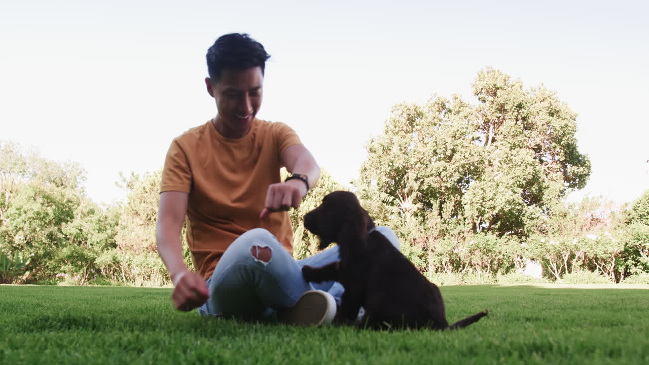 Asian man playing with puppy on grass in sunny park, smiling joyfully