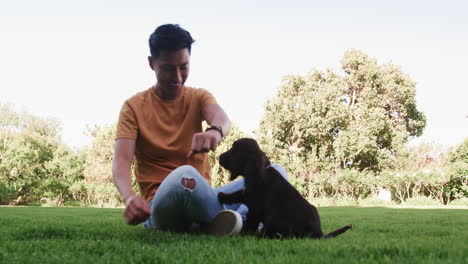 asian man playing with puppy on grass in sunny park, smiling joyfully
