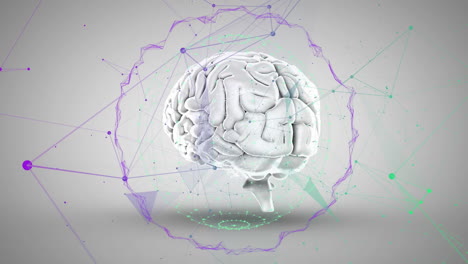 animación de conexiones con procesamiento de datos sobre el cerebro humano