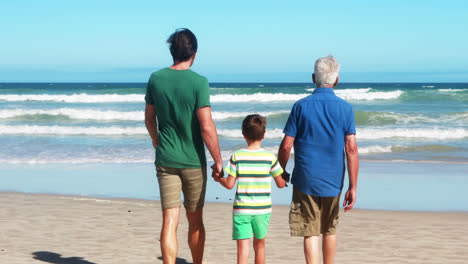 Familia-Tomados-De-La-Mano-Y-Caminando-Hacia-El-Mar