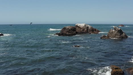 Vögel-Sitzen-Auf-Gewölbten-Felsen-Am-Meer-Mit-Wellen,-Die-In-Der-Nähe-Des-Strandes-Bodega-Bay-Highway-1-In-Nordkalifornien-Zusammenbrechen