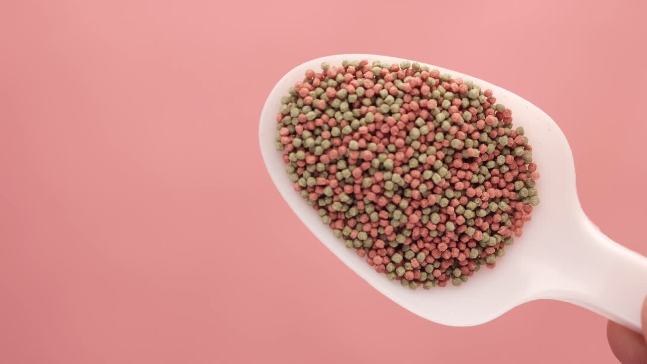 Fish Food in a Spoon