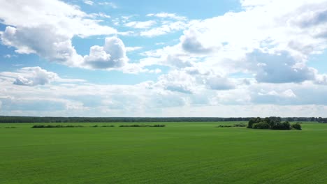 green fields