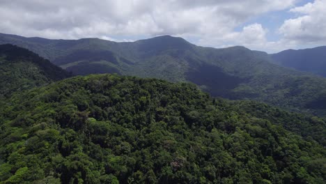 flying over dense mountain rainforest in tropical north queensland