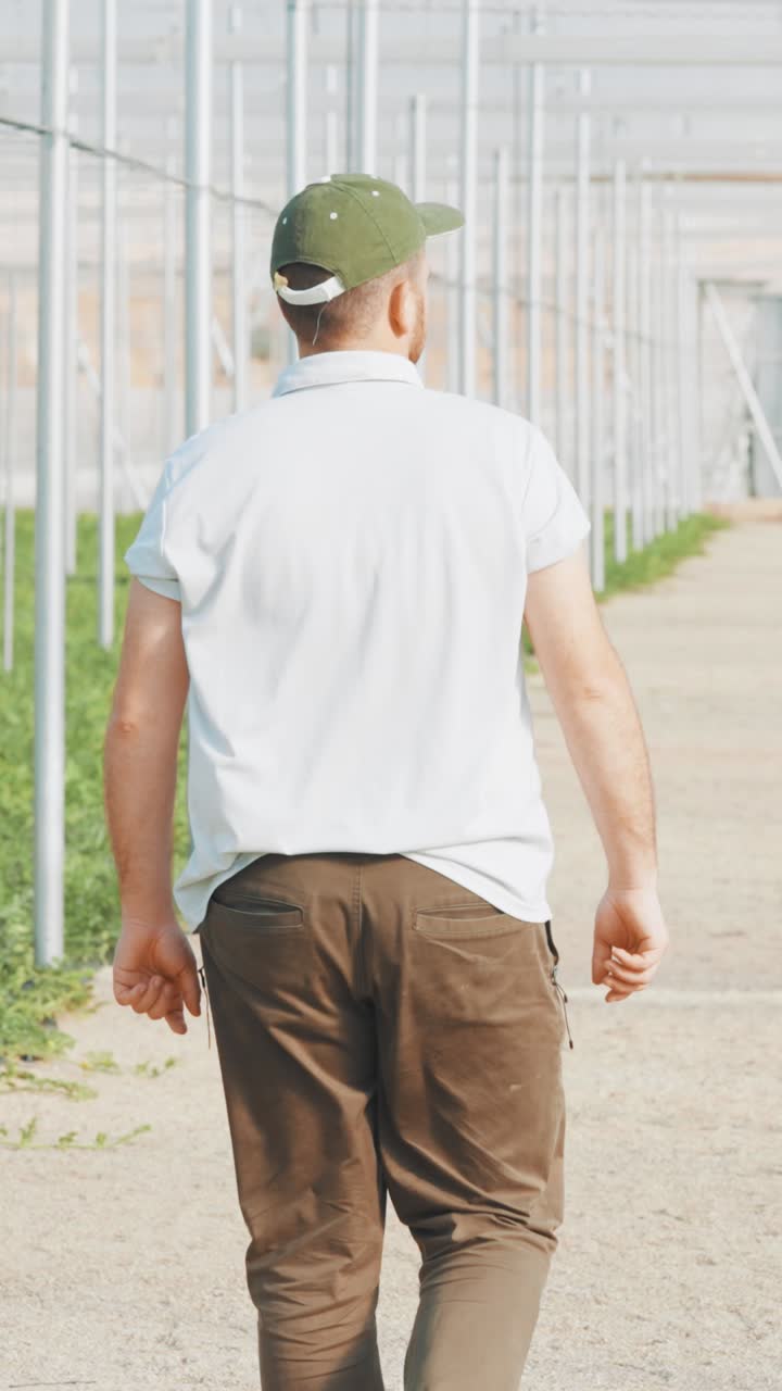 Farmer walking through watermelon greenhouse