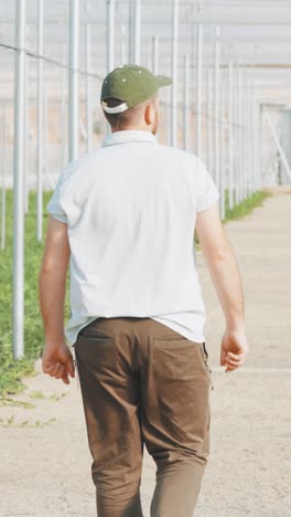 farmer walking through watermelon greenhouse