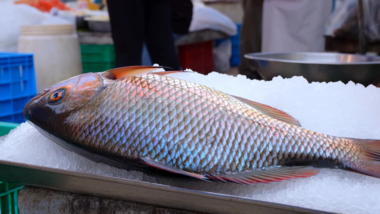 Pesce adagiato sul ghiaccio in una bancarella del mercato del pesce, primo piano con vassoio di plastica e sfondo bianco. Luce naturale commerciale, sfondo pulito, spazio per il testo, visual editoriale educativo.