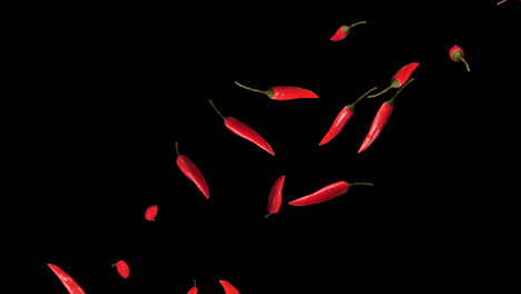 red chili falling with alpha channel