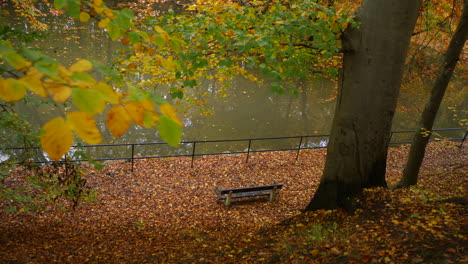 Banco-Y-Estanque-En-El-Bosque-De-Otoño