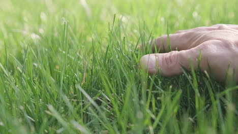 mano muscular de un hombre toca la hierba verde durante el día soleado en el jardín