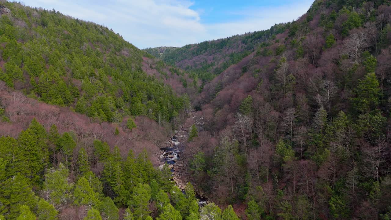 Blackwater River winding in Blackwater Falls State Park, near Thomas West Viriginia, USA