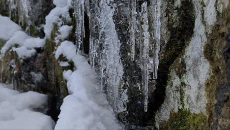 Frozen-icicles-melting,-water-drops-in-winter,-ice-melting,-tracking-shot