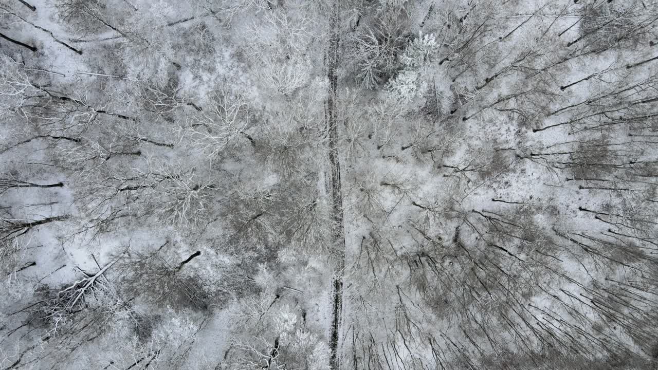 Foresta innevata misteriosa e bellissima. Ripresa aerea cinematografica stabilizzata con drone. Francia.