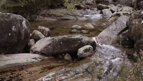 revelan tiro de foque de cámara lenta de arroyo de agua corriente