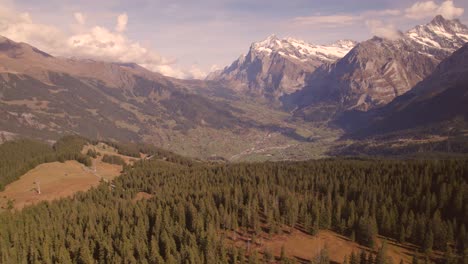 aerial drone footage pushing out over spruce trees with dreamy views of mount wetterhorn in distance