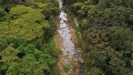 Vista-Aérea-Del-Río-En-El-Bosque-Hermoso-Vuelo-De-Drones-A-Través-De-La-Selva-Verde-Selva-Virgen-Paisaje-Natural-Conservación-De-La-Naturaleza-4k