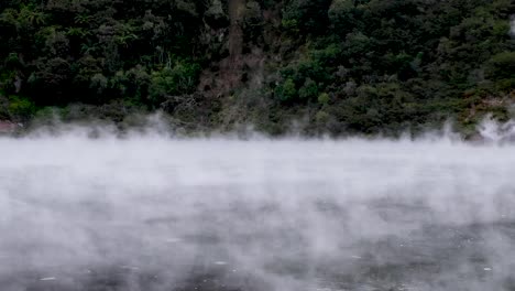 a natural hot spring in rotorua, new zealand