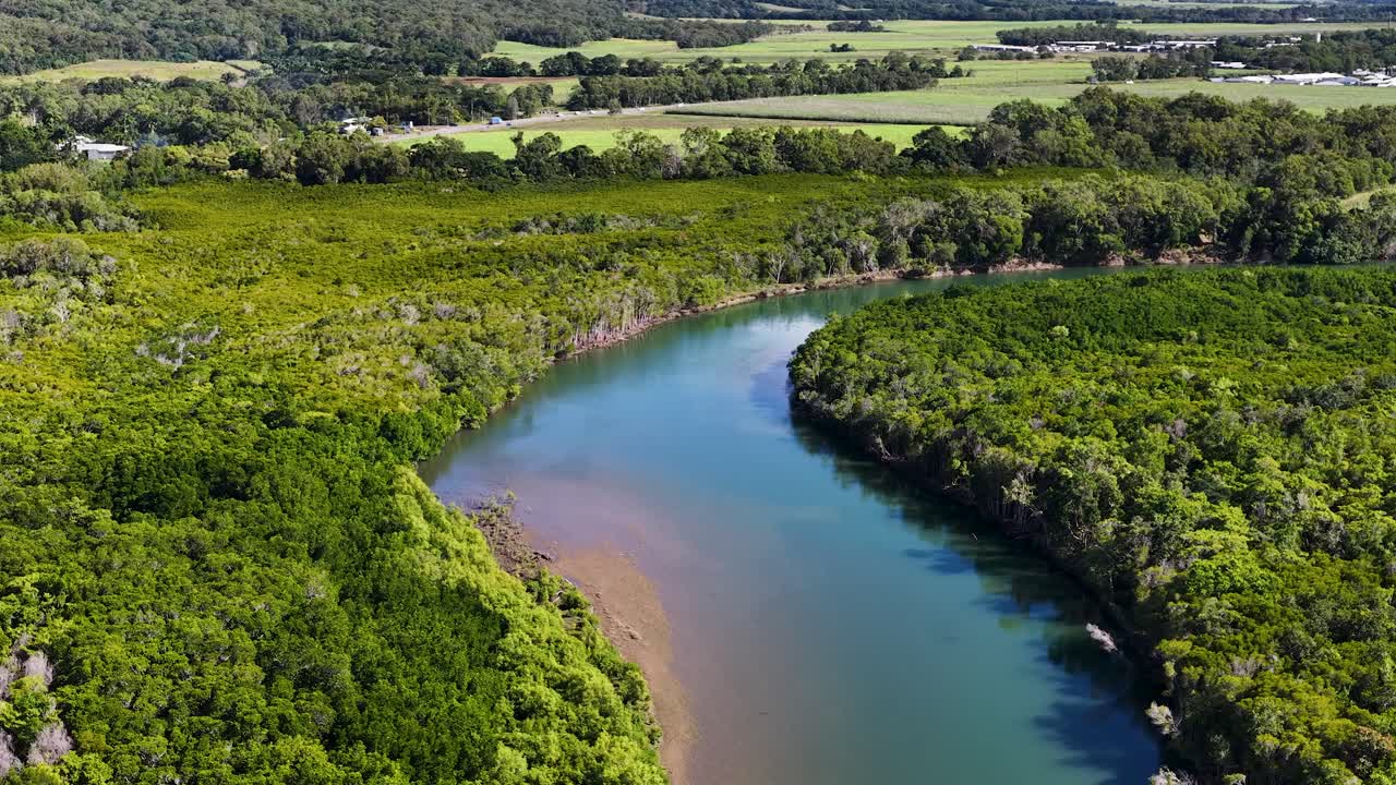 Drone glides over tropical river bend, dense rainforest, and vibrant greenery in bright daylight