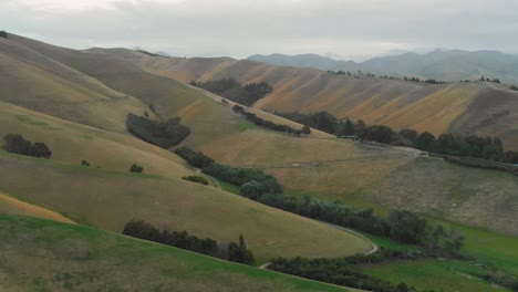 Vista-Aérea-Del-Paisaje-De-Las-Colinas-Amarillas-En-Marlborough,-Blenheim,-Nueva-Zelanda