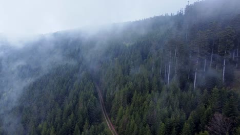 Aerial-view-of-forest-mountain-path-with-fast-moving-moody-white-clouds-in-Vosges,-France-4K