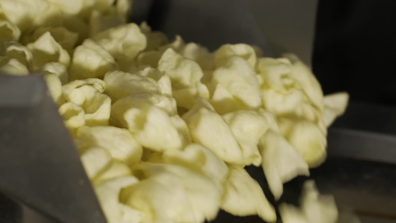Production factory line moves golden potato chips after frying. Production line of the pasta factory