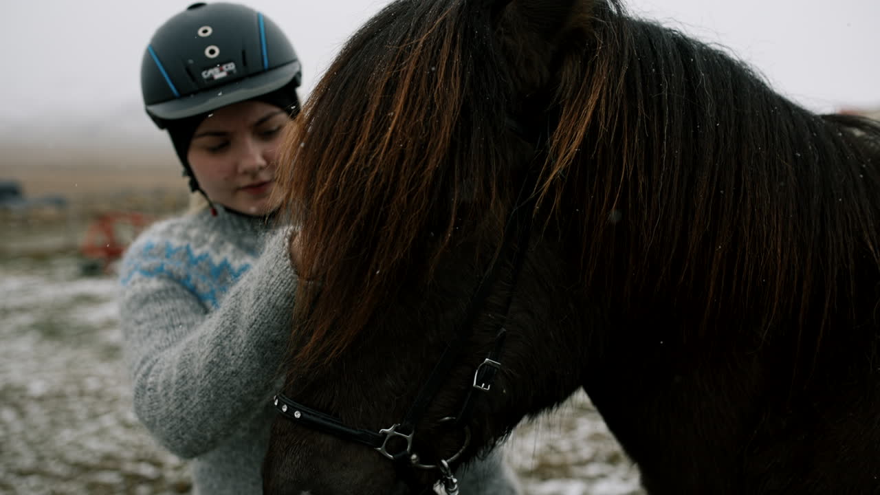 Woman interacting with an Icelandic horse in the snow