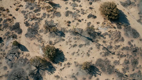 Mirando-Hacia-Abajo-A-La-Tierra-Quemada-Por-Incendios-Forestales-Y-Luego-Descendiendo-Hacia-Arriba-Para-Revelar-El-Paisaje-Apocalíptico-Circundante---Vista-Aérea