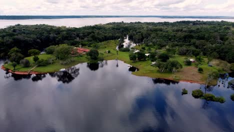 rio negro, vital part of the amazon ecosystem, hosting diverse wildlife