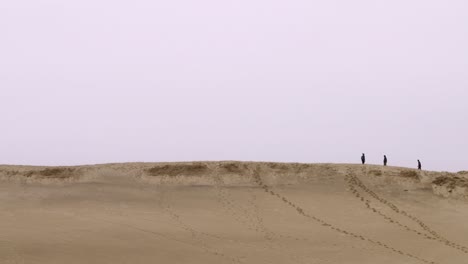 provincetown, ma