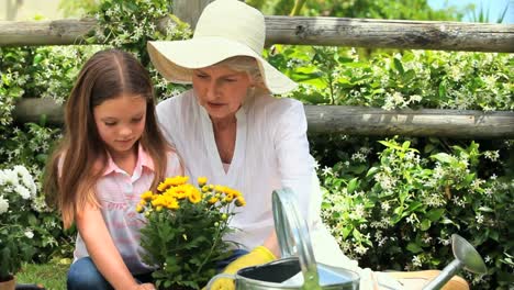 Junges-Mädchen-Bei-Der-Gartenarbeit-Mit-Ihrer-Großmutter