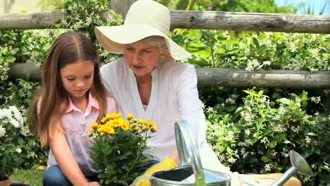 young girl doing some gardening wih her grandmother