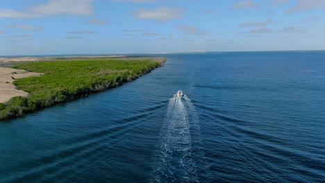 Aerial-view-Panning-shot,-Scenic-view-of-tourist-boat-moving-along-the-mangrove-forest-in-Adolfo-Lopez-Mateos-Baja-California-sur,-Mexico,-blue-sky-in-the-background