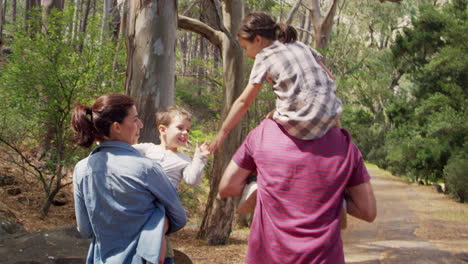 rear view of family walking along path through forest together