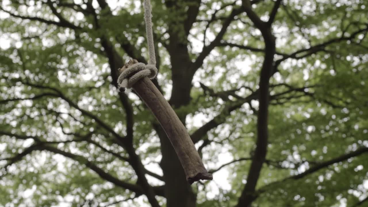 Homemade childrens swing hanging from a tree in woodland close up shot