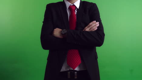 business man with crossed arms on green screen, video in 4k