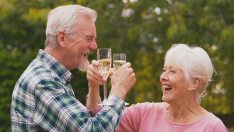 Pareja-De-Ancianos-Jubilados-Celebrando-Buenas-Noticias-O-Ganando-Uniendo-Los-Brazos-Para-Beber-Champán-En-El-Jardín