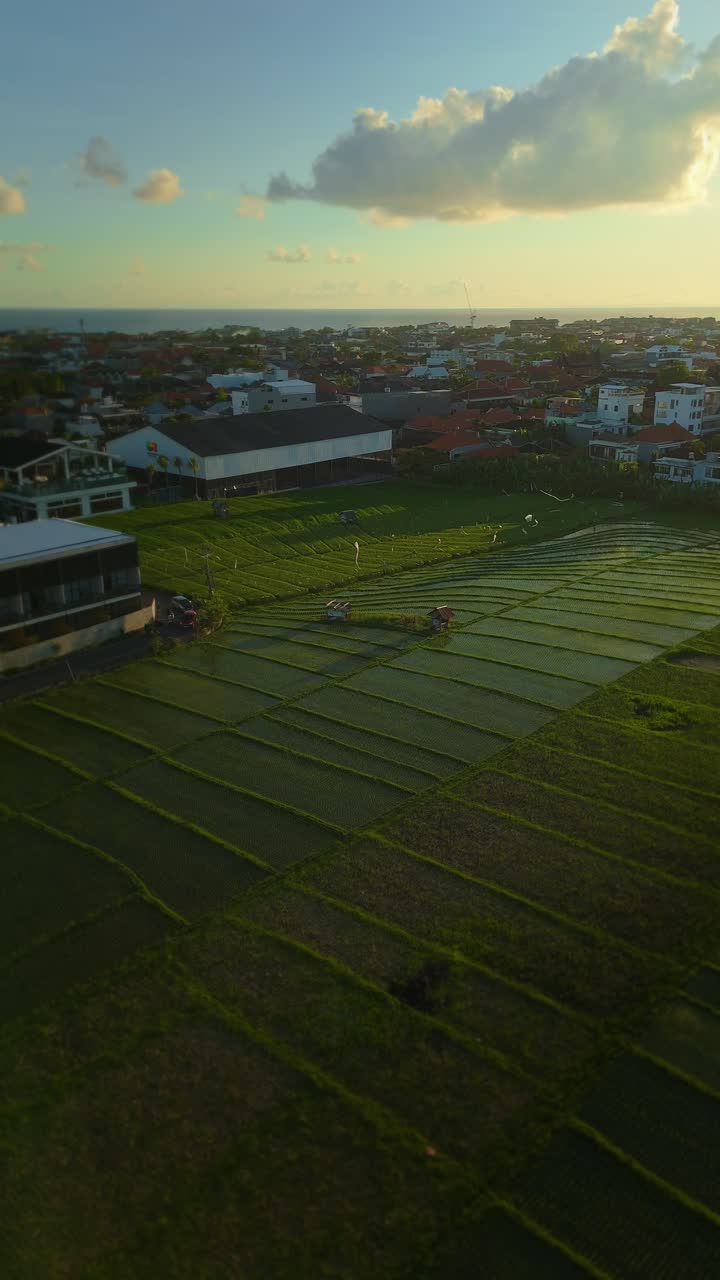 Stunning vertical video capturing a drone view of irrigated rice paddies reflecting the warm hues of the sunset near a charming coastal town in Bali. Perfect for social media stories