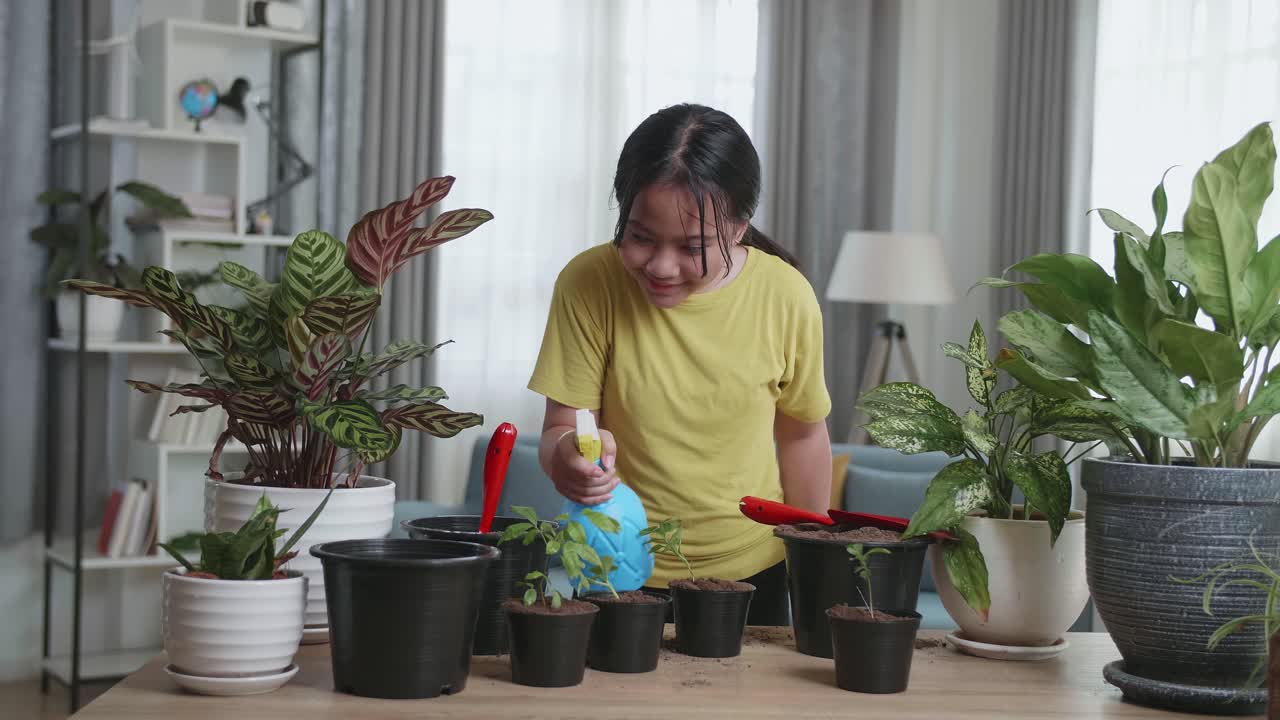 Asian Girl Taking Care Of Plant At Home