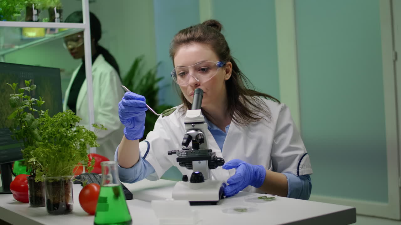 Biologist splecialist taking with tweezers green leaf sample