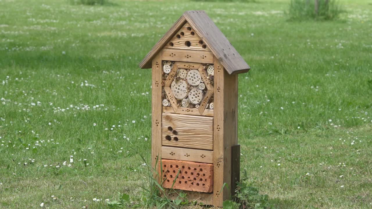 Wooden insect hotel placed in a city, surrounded by wildflowers and tall grass, promoting insect care and biodiversity. Olomouc