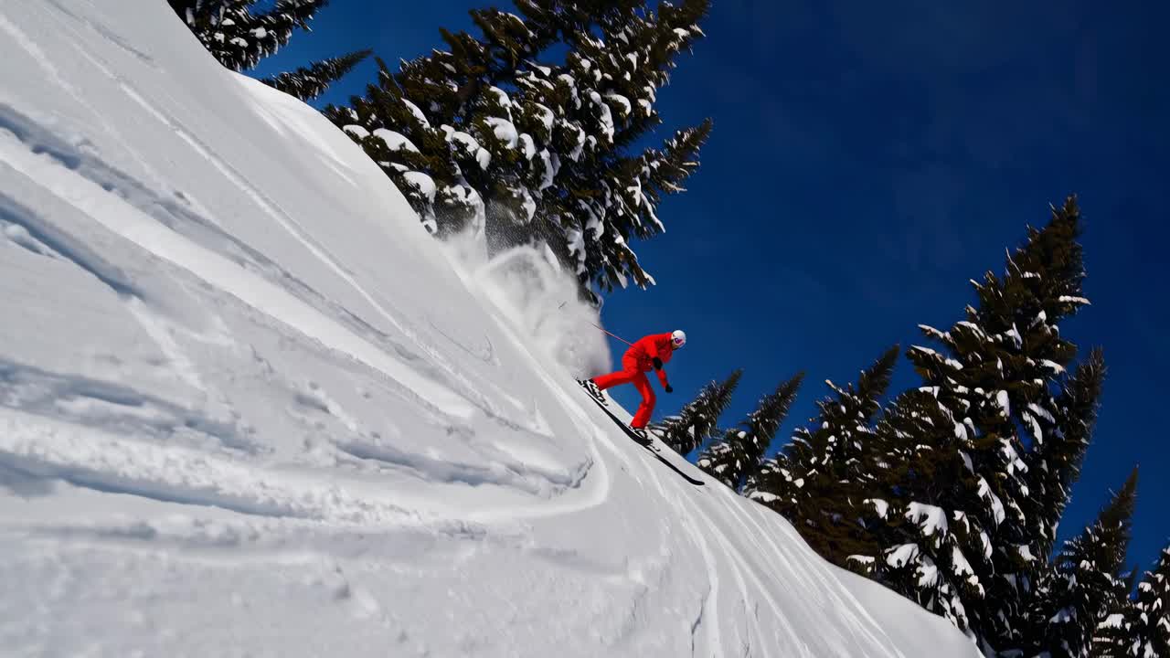Dynamic low-angle shot of a skier in red descending a snowy slope, framed by tall pine trees