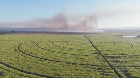 Aerial-view-of-a-controlled-fire-in-the-distance,-strategically-used-to-manage-sugarcane-farmlands